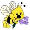 embroidery designs