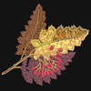 embroidery designs