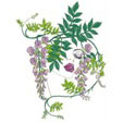 embroidery designs