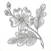 embroidery designs