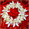 embroidery designs