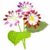 embroidery designs