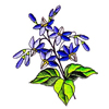 embroidery designs