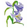 embroidery designs