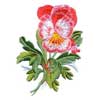 embroidery designs