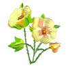 embroidery designs