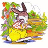 embroidery designs