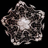 embroidery designs