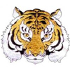 embroidery designs