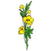 embroidery designs