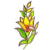 embroidery designs