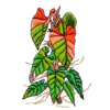 embroidery designs
