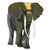 embroidery designs