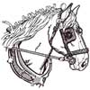 embroidery designs