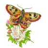 embroidery designs