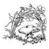 embroidery designs