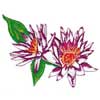 embroidery designs
