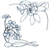 embroidery designs