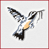 embroidery designs