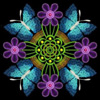 embroidery designs