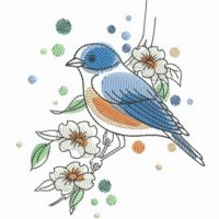 Ace Points Embroidery