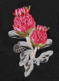 Outback Embroidery